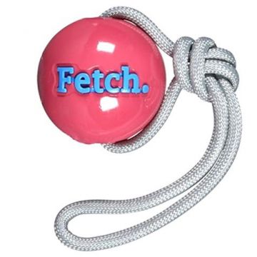 Minge PlanetDog - Orbee Fetch - Roz