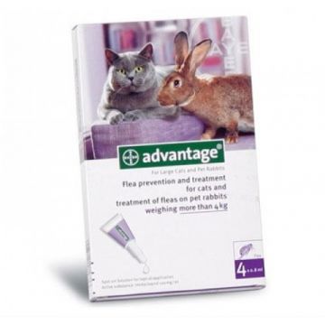 Advantage Pisica/Iepure 80 Peste 4 Kg, Cutie cu 4 pipete