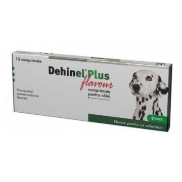 Dehinel Plus Flavour 10 Comprimate