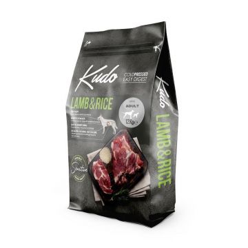 Kudo Adult Mini Sensitive - Hrana uscata, presata la rece - Miel si Orez - 12kg