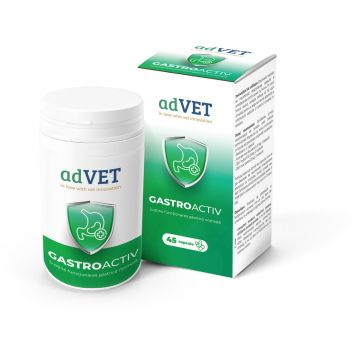 Gastroactiv, hrana complementara pentru caini si pisici, 45 Capsule