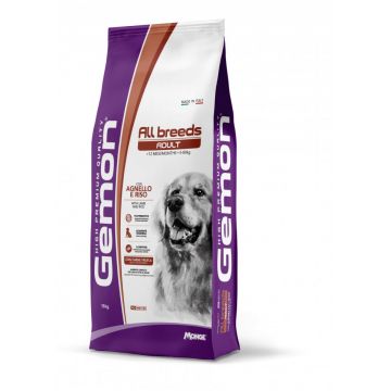 Gemon Adult All Breeds - Hrana uscata completa - Miel si Orez - 15kg
