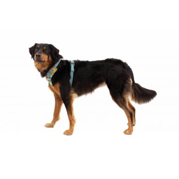 Ham Front Range Ruffwear - L-XL - Spring Mountains