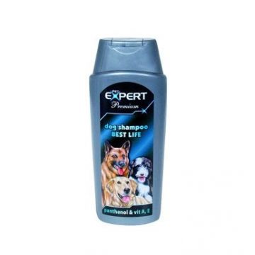 Sampon pentru caini Pet Expert, Proteine, 300 ml