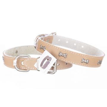 Zgarda din piele, maro, cu ornamente tip oase, 2.3 cm x 50 cm, pentru caini de talie medie