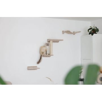 Ansamblu catarare pisici - Zugspitze