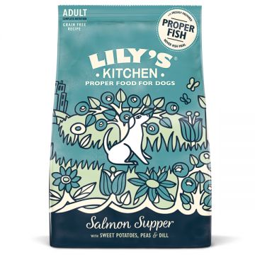 Lily's Kitchen for Dogs Salmon Supper Adult Dry Food 1 kg
