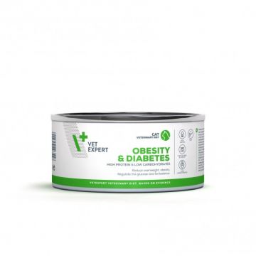 4T Obesity  Diabetes Conserva Cat 100 g, VetExpert