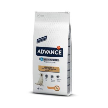 Advance Labrador Retriever 11.5 kg