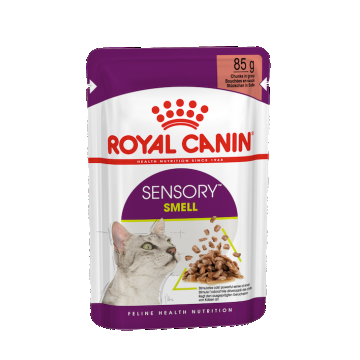 Royal Canin Sensory Smell Gravy Plic 12x85g