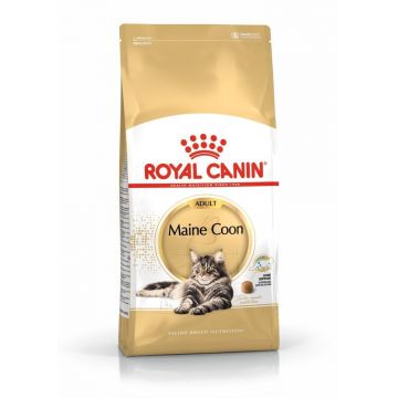 Royal Canin Maine Coon Adult hrana uscata pisica, 4 kg
