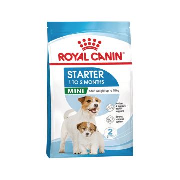 Royal Canin Mini Starter Mother & Babydog, mama si puiul, hrana uscata caine, 8 kg