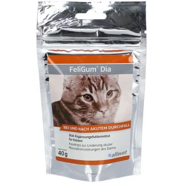 Picaturi pentru  ameliorarea tulburărilor acute de absorbție a intestinului la pisici, FELIGUM DIA, Alfavet, 40g