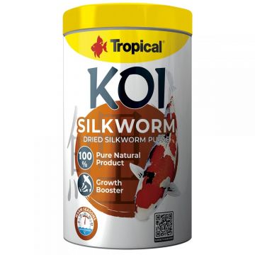 TROPICAL-Fish-KOI SILKWORM PUPAE-330G TROPICAL-Fish-KOI SILKWORM PUPAE-330G