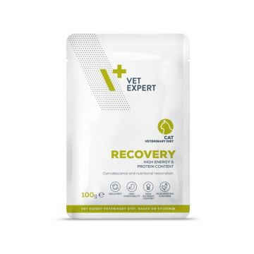 Hrană dietetică umedă pentru pisici în perioada de convalescență, RECOVERY CAT, Vet  Expert, 100g