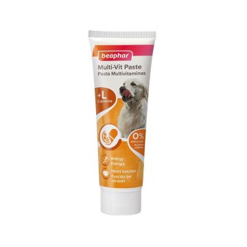 Beaphar Multi-Vit Pasta + L Carnitina pentru Caini, 100 g Beaphar Multi-Vit Pasta + L Carnitina pentru Caini, 100 g