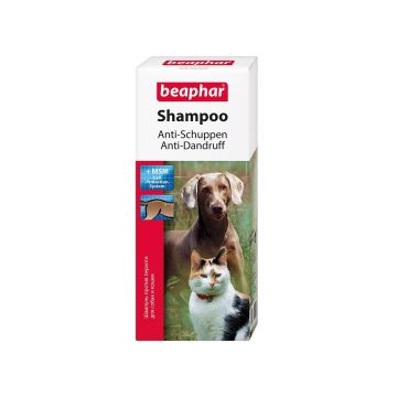 Beaphar Sampon pentru Caini si Pisici Antimatreata, 200 ml