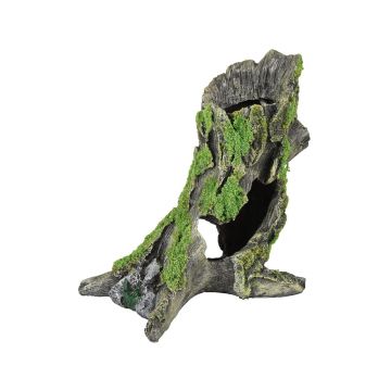 DECOR PENTRU ACVARIU MOZA TRUNCHI DE COPAC FLAMINGO 15x10x16CM DECOR PENTRU ACVARIU MOZA TRUNCHI DE COPAC FLAMINGO 15x10x16CM