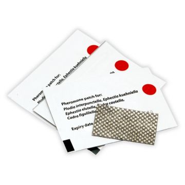 Feromoni Plasture pentru Molii Alimentare, 50 buc