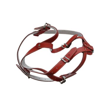 HAM PIELE PENTRU CAINI CU ORNAMENT NR.1 ROSU 40-47CM/16MM