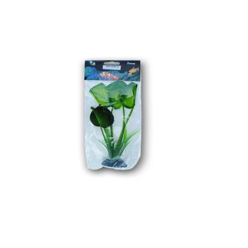 PLANTE MATASE 20CM