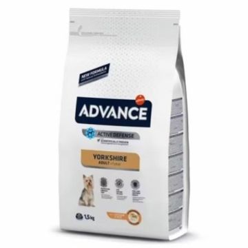 Hrana uscata pentru caini Advance Yorkshire Terrier cu pui 1,5 kg