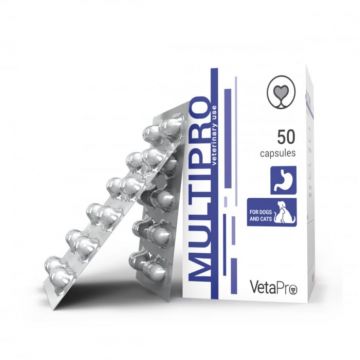 VETAPRO multipro 50caps cut suport gastro intestinal caini si pisici
