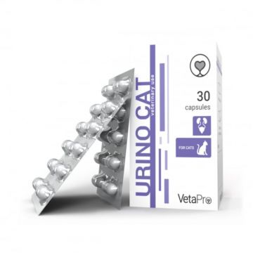 VETAPRO urino cat 30caps cut suport urinar pisici
