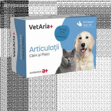 VetAria+ Supliment pentru articulatii Articulatii, cutie 30 capsule