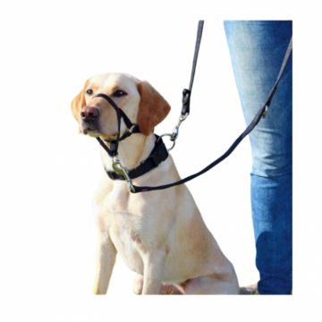 Botnita pentru dresaj Top Trainer S 22 cm 35-42 cm