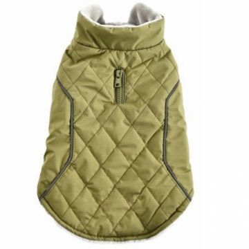 Hainuta caini Charm Green 40 cm