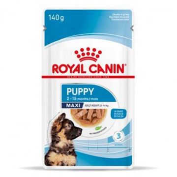 Hrana umeda pentru caini, Royal Canin Maxi Puppy, 140 G