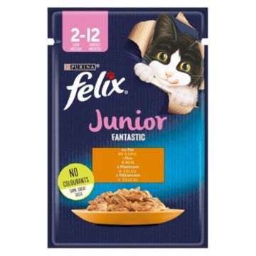 Hrana umeda pentru pisici Felix Fantastic Junior cu pui 85 gr Hrana umeda pentru pisici Felix Fantastic Junior cu pui 85 gr