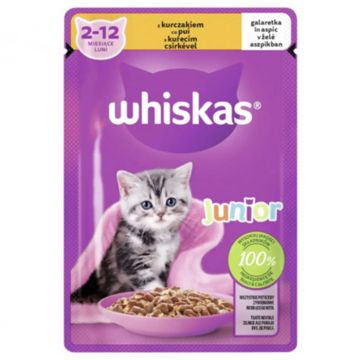 Hrana umeda pentru pisici Whiskas Junior cu pui in aspic 85 g