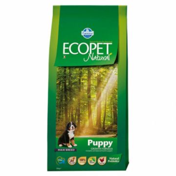 Hrana uscata pentru caini Ecopet Natural Maxi Puppy 12 kg