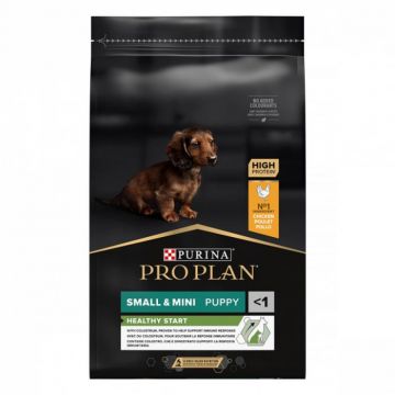 Hrana uscata pentru caini Pro Plan Small  Mini Puppy cu pui 7 kg