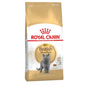 Hrana uscata pentru pisici Royal Canin British Shorthair