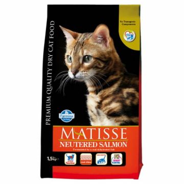 Hrana uscata pentru pisici sterilizate Matisse cu somon 1,5 kg
