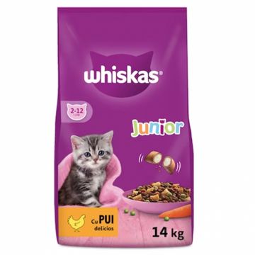 Hrana uscata pentru pisici Whiskas Junior cu pui 14 kg