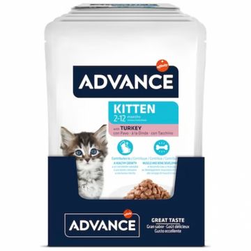 Set 12 buc x 85 gr Hrana umeda pentru pisici Advance Kitten cu curcan