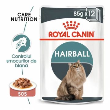 Set 12 buc x 85 gr Hrana umeda pentru pisici Royal Canin Hairball Care in sos