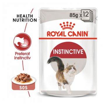 Set 12 buc x 85 gr Hrana umeda pentru pisici Royal Canin Instinctive in sos