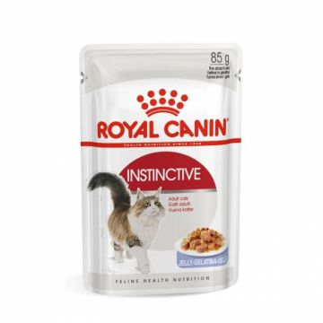 Set 12 buc x 85 gr Hrana umeda pentru pisici Royal Canin Instinctive Jelly
