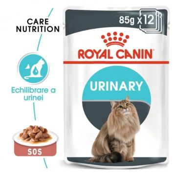 Set 12 buc x 85 gr Hrana umeda pentru pisici Royal Canin Urinary Care
