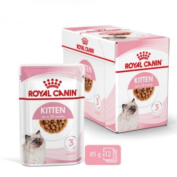 Set 12 plicuri x 85 gr Hrana umeda pentru pisici Royal Canin Kitten