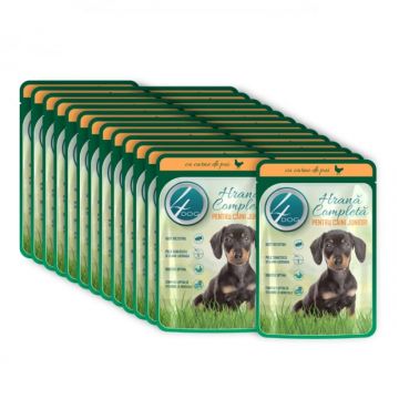 Set 24 buc x 100 gr Hrana umeda pentru caini 4Dog Junior cu pui