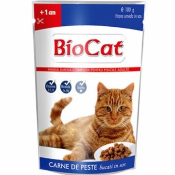 Set 24 buc x 100 gr Hrana umeda pentru pisici Biocat cu peste in sos