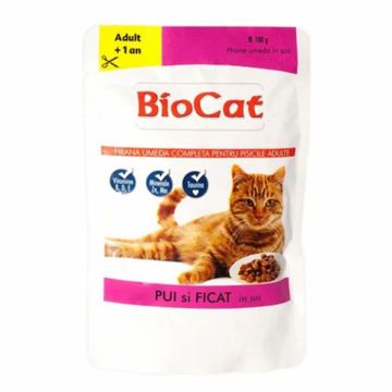 Set 24 buc x 100 gr Hrana umeda pentru pisici Biocat cu pui  ficat in sos