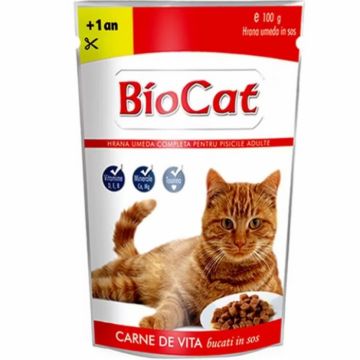 Set 24 buc x 100 gr Hrana umeda pentru pisici Biocat cu vita in sos