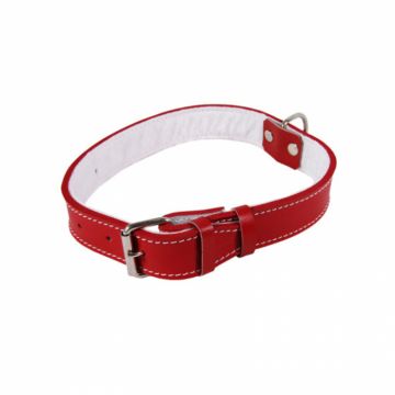 Zgarda Piele Tip 22 (50 Cm 22 Mm) Cu Pasla - Rosu